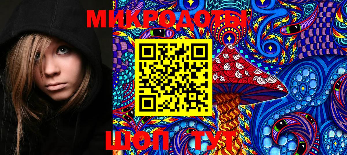 Псилоцибиновые грибы MAGIC MUSHROOMS  Вход с VPN  где купить   Псилоцибиновые грибы GOLDEN TEACHER  Бор 